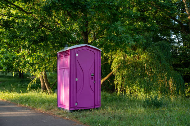 Best Local porta potty services  in Pierce, CO